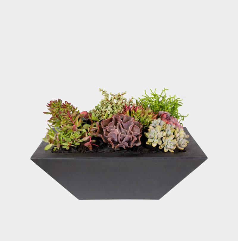 Carbon Black Knife Edge Planter Bowl (Add Water Scupper)