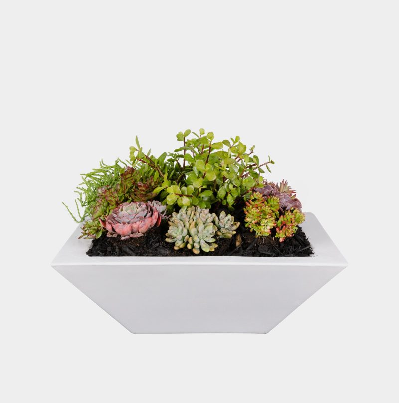 Classic Pearl Knife Edge Planter Bowl (Add Water Scupper)
