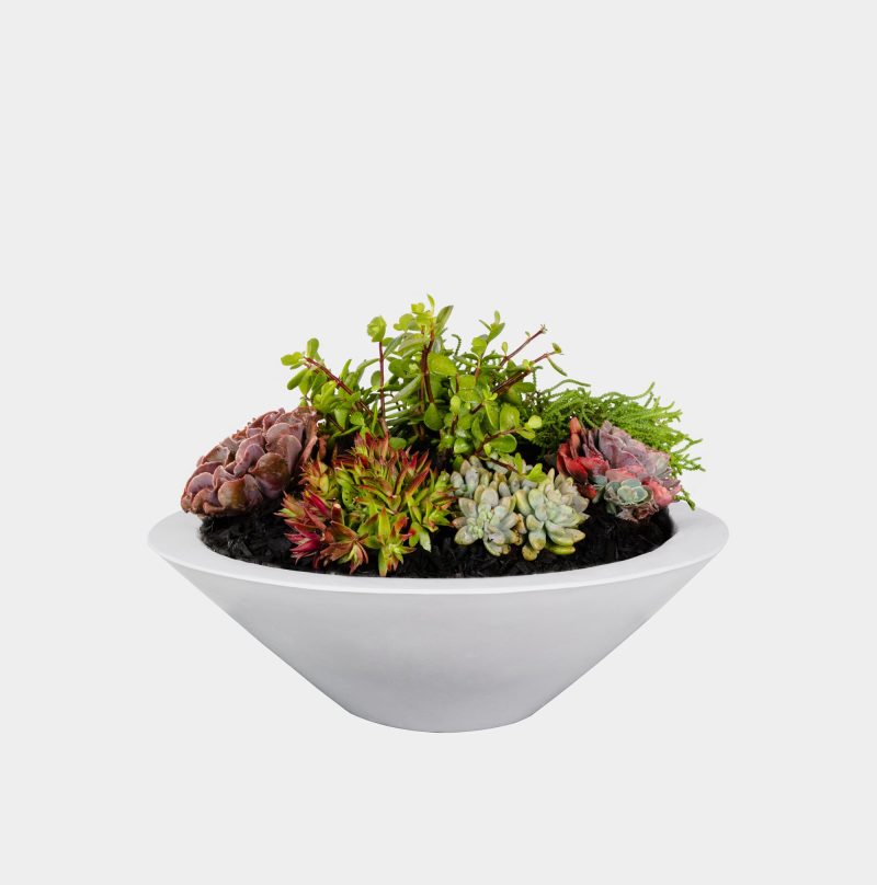 Classic Pearl Round Planter Bowl (Add Water Scupper)